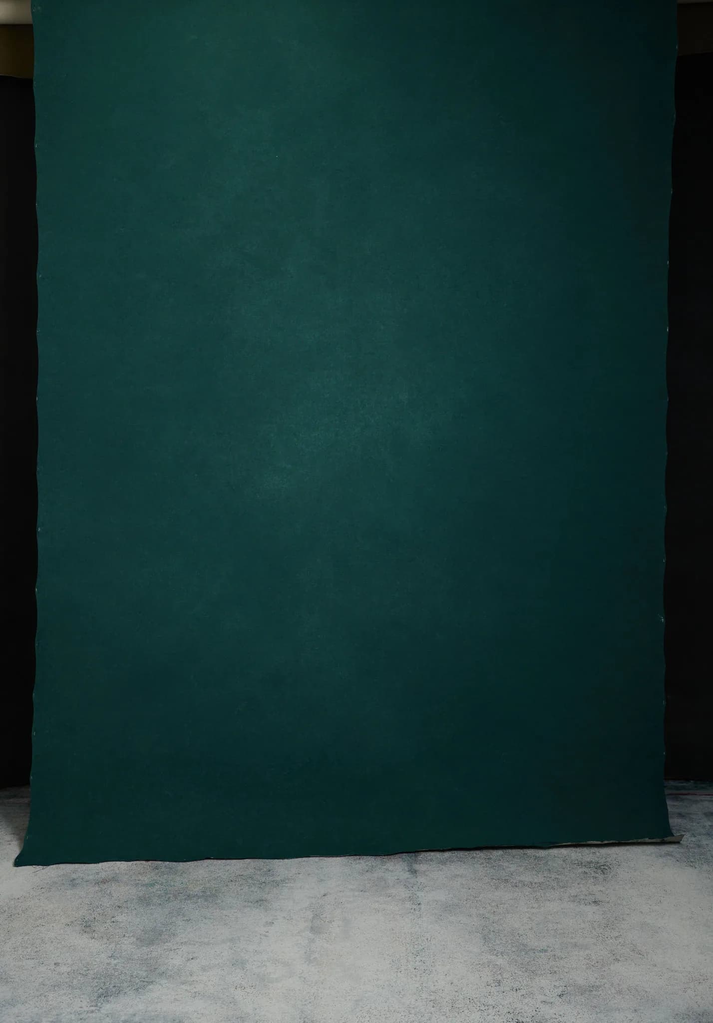Deep Sage hand painted canvas backdrop 180x270cm, painted side, full view