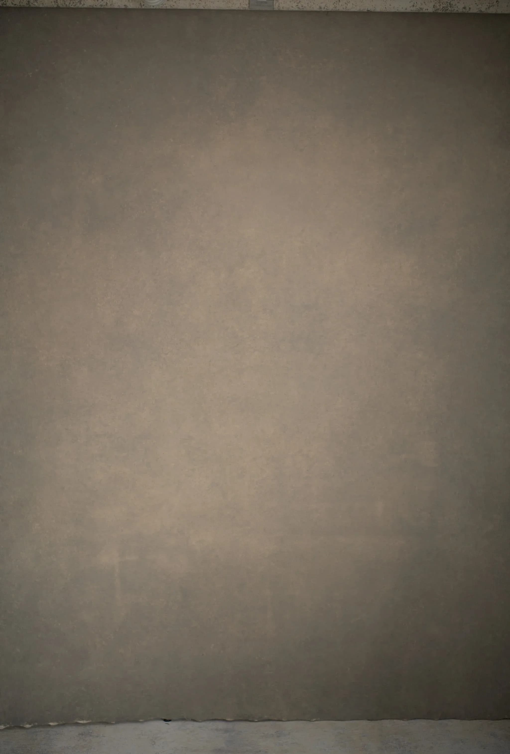 Beautiful warm grey backdrop, medium texture on canvas. 180X270cm (Warm grey ). 111222
