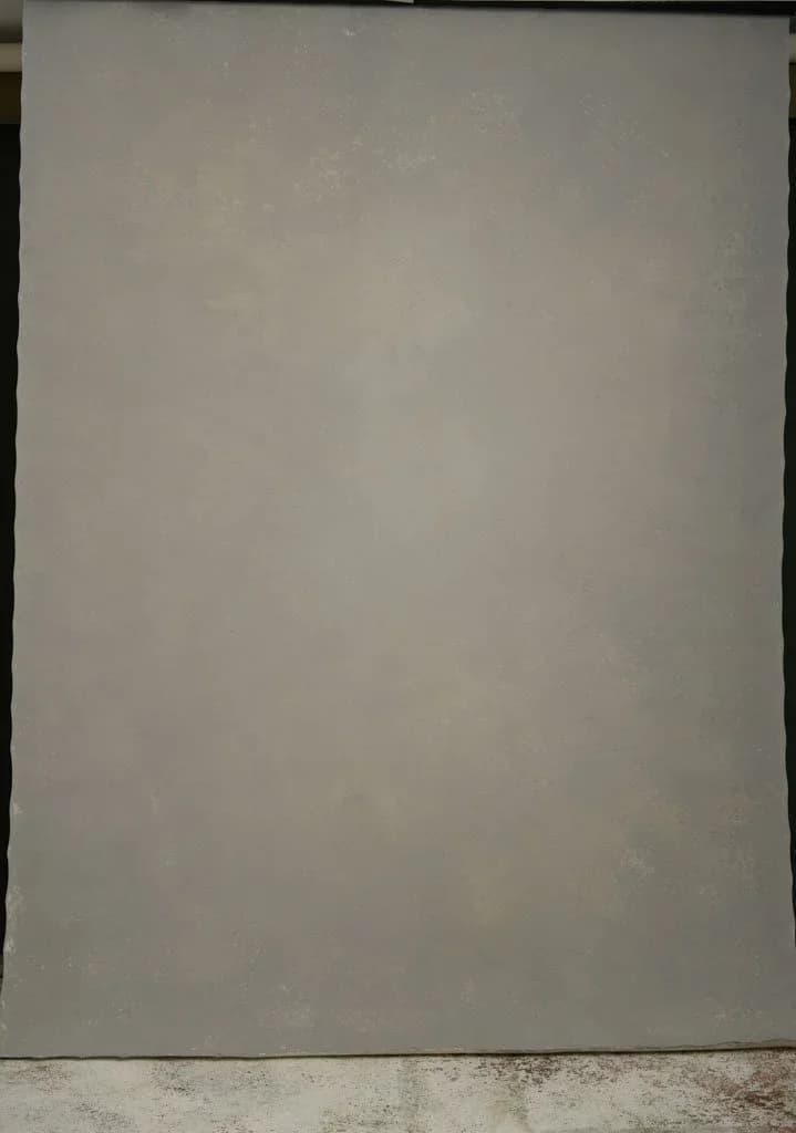 Warm Medium grey Hand painted canvas backdrop 180X270cm 04170925