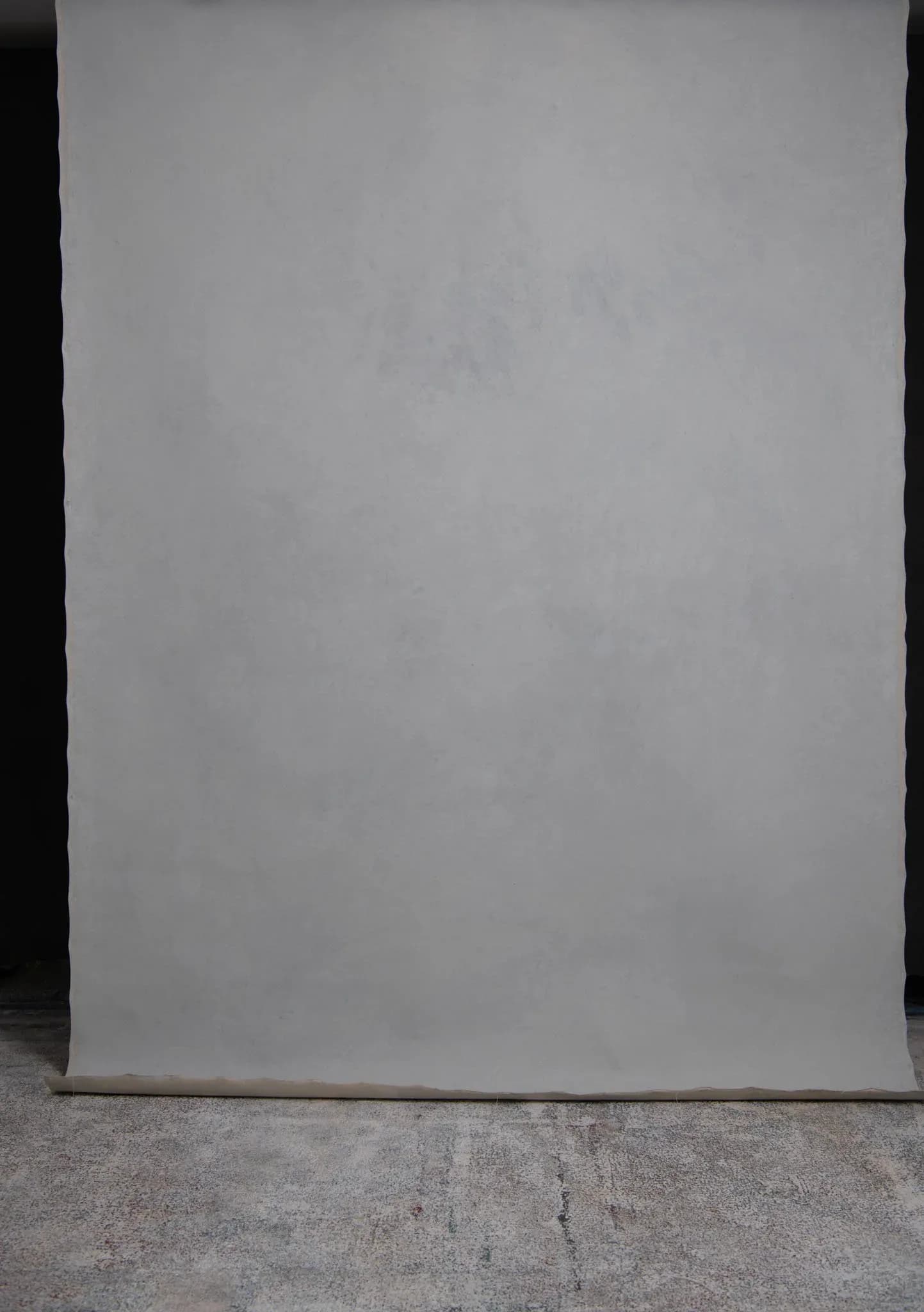 Ligh grey Hand painted canvas backdrop with reverse side 180X270cm (226222)