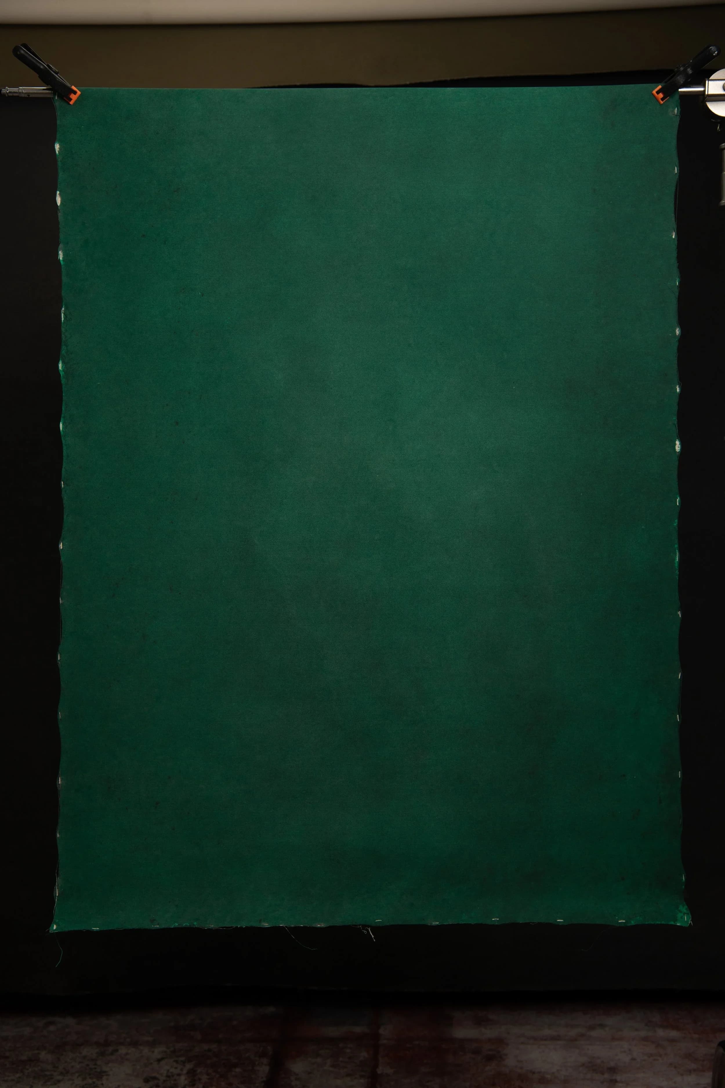 Double-sided fores green portrait photography backdrop. 100x135 08161125