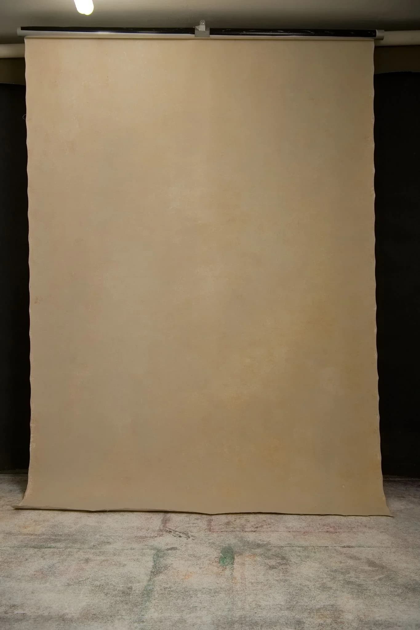 Warm Sand Beige Hand Painted Canvas Backdrop for Photographers 180x270 (01310126)