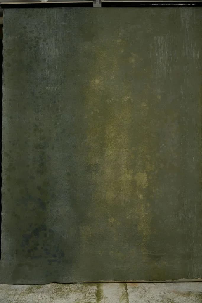Back in stock! Grey hand-painted backdrop with a olive and white green shade 180X270cm 02070825