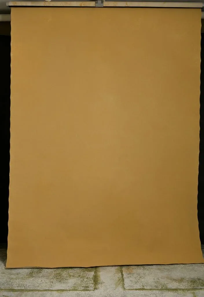 ✅Yellow mustard sandy gold medium texture backdrop, double-sided. 180X270cm Yellow brown SK003